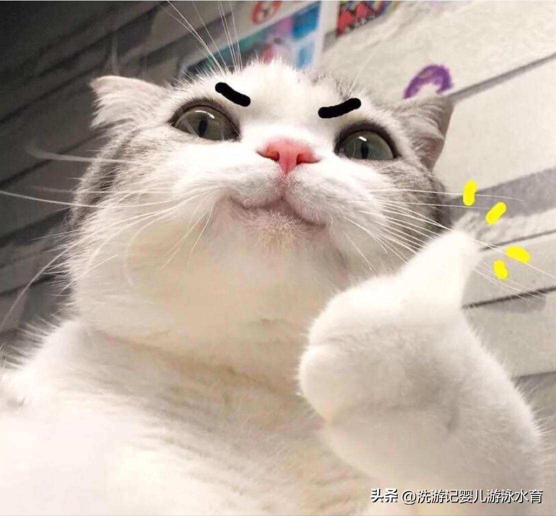 适合宝妈创业的项目小投资,宝妈创业项目推荐靠谱吗