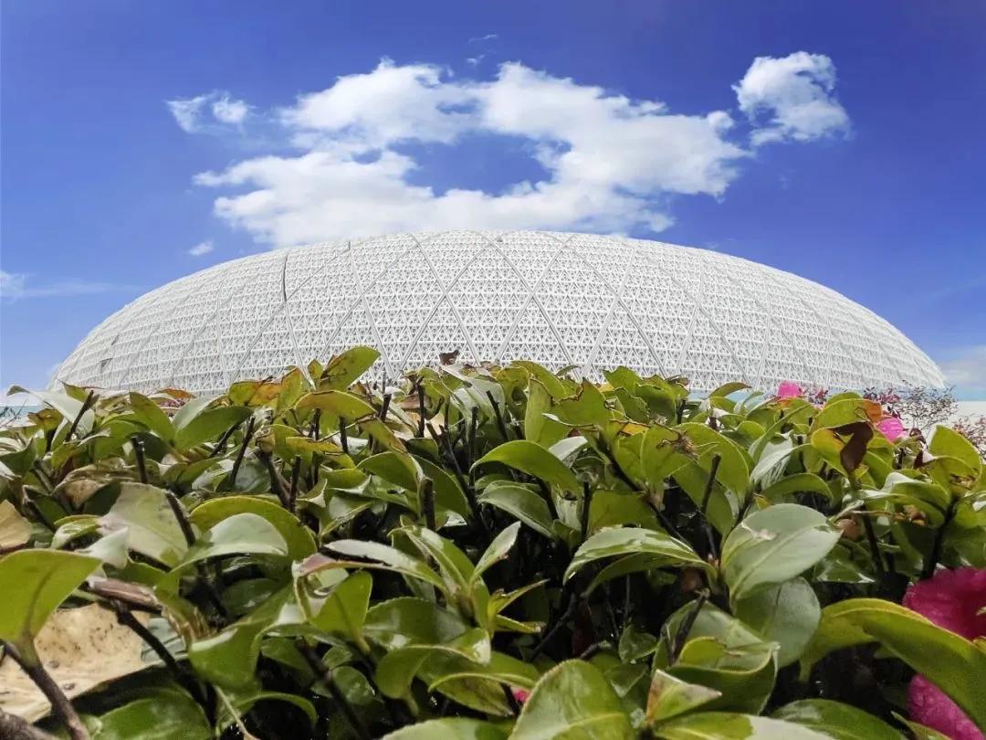 【城市名片】用汗水浇灌“青竹”成长！中建八局“筑”力林城打造体育明珠