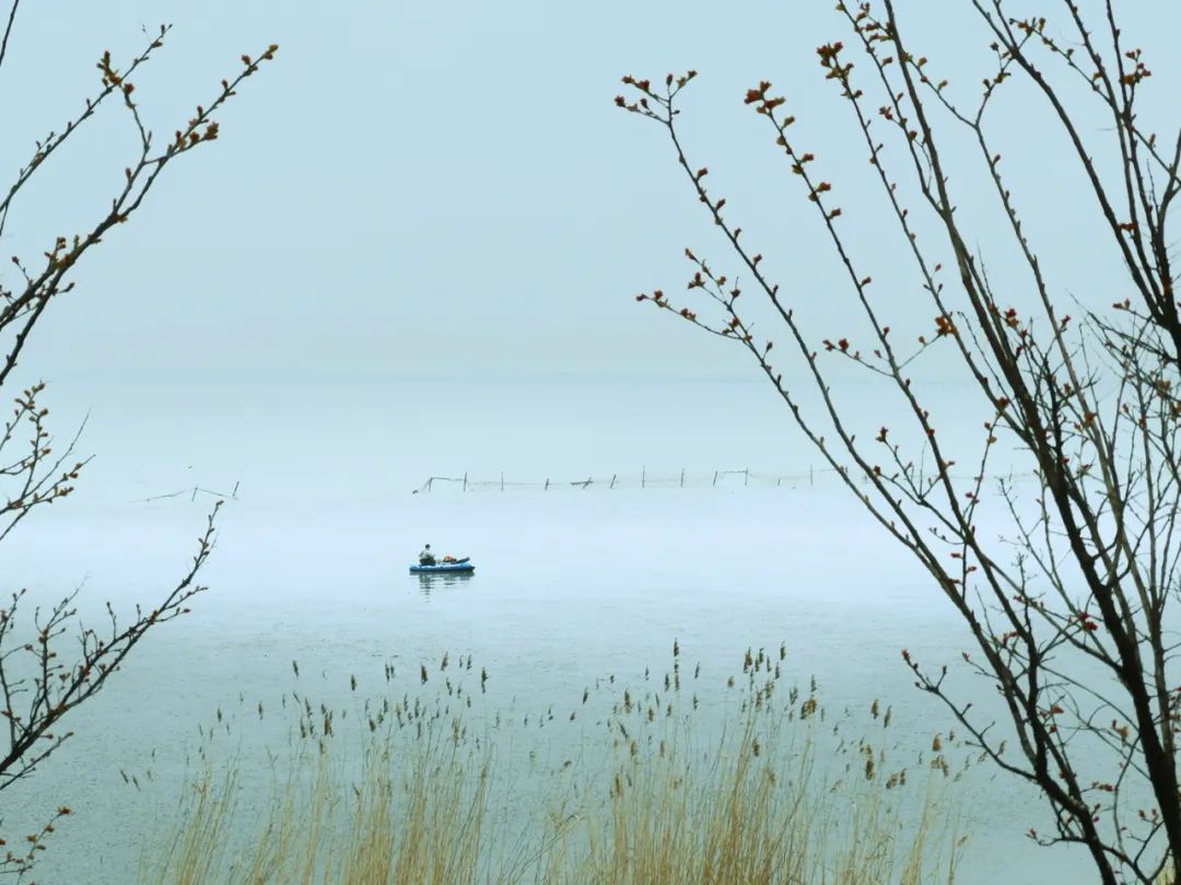 宋词三百首的诗句,宋词三百首经典词