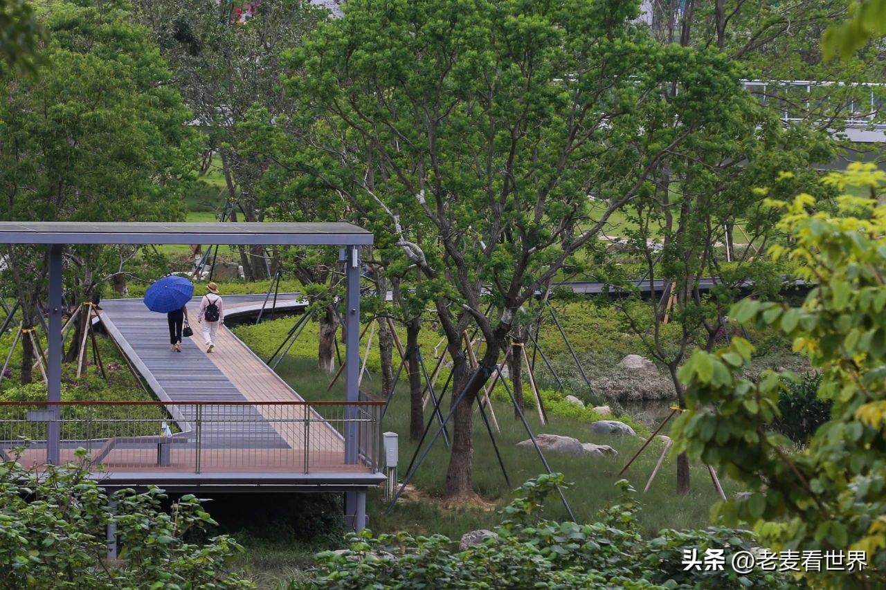 东莞中心公园怎么玩？最全攻略助你通关！五一打卡必备