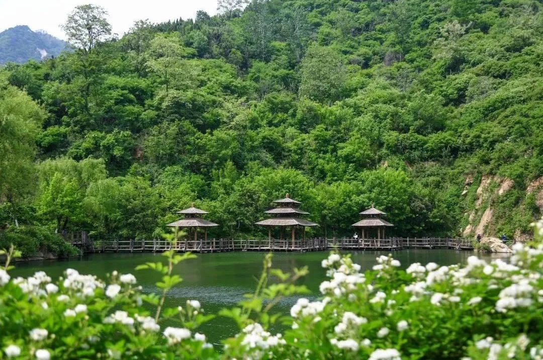 济南旅游公交专线有哪些 (济南近郊公交直达的游玩场所)