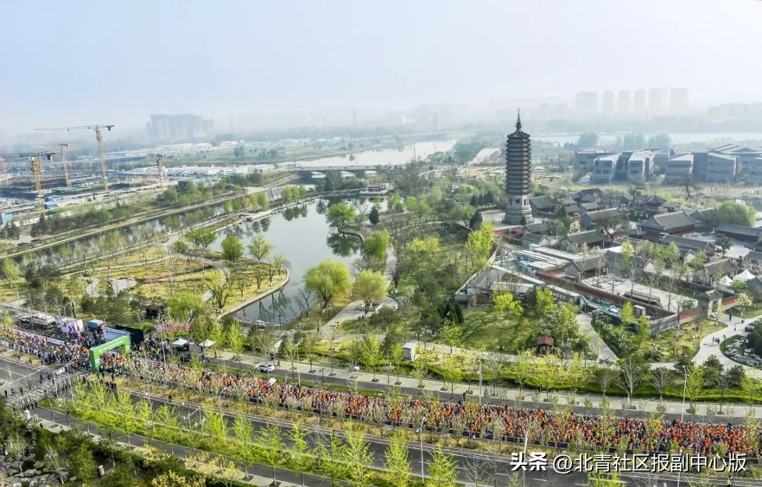 通通来运动,通通来运动logo