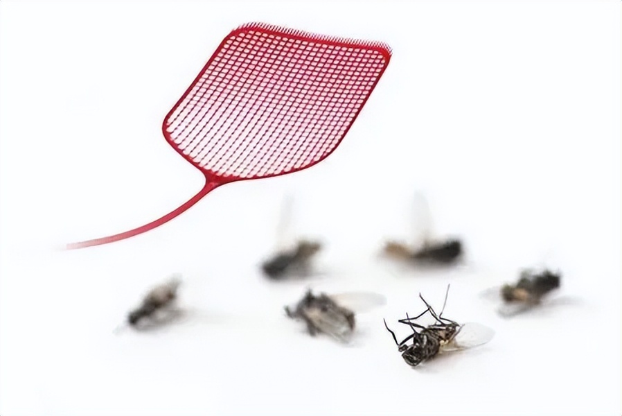 为什么我们拍死苍蝇的难度巨大,苍蝇为什么能拍死苍蝇