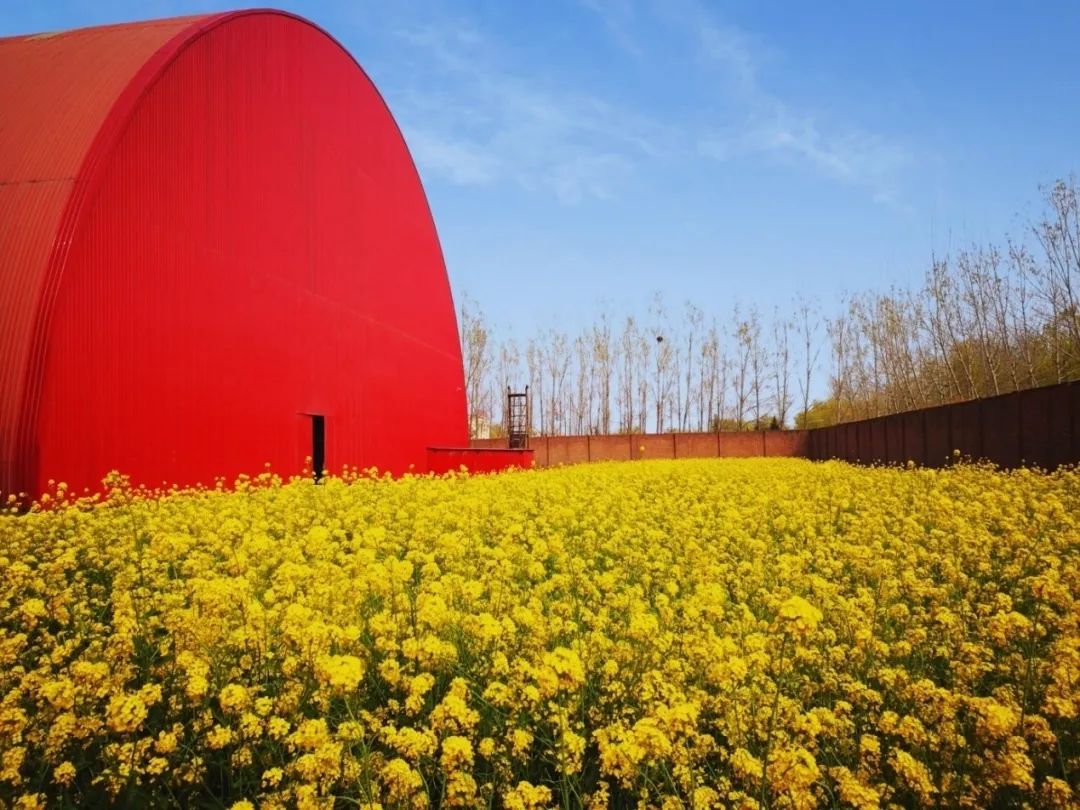 卫辉天瑞水泥质量怎么样,卫辉市天瑞水泥郑州办事处
