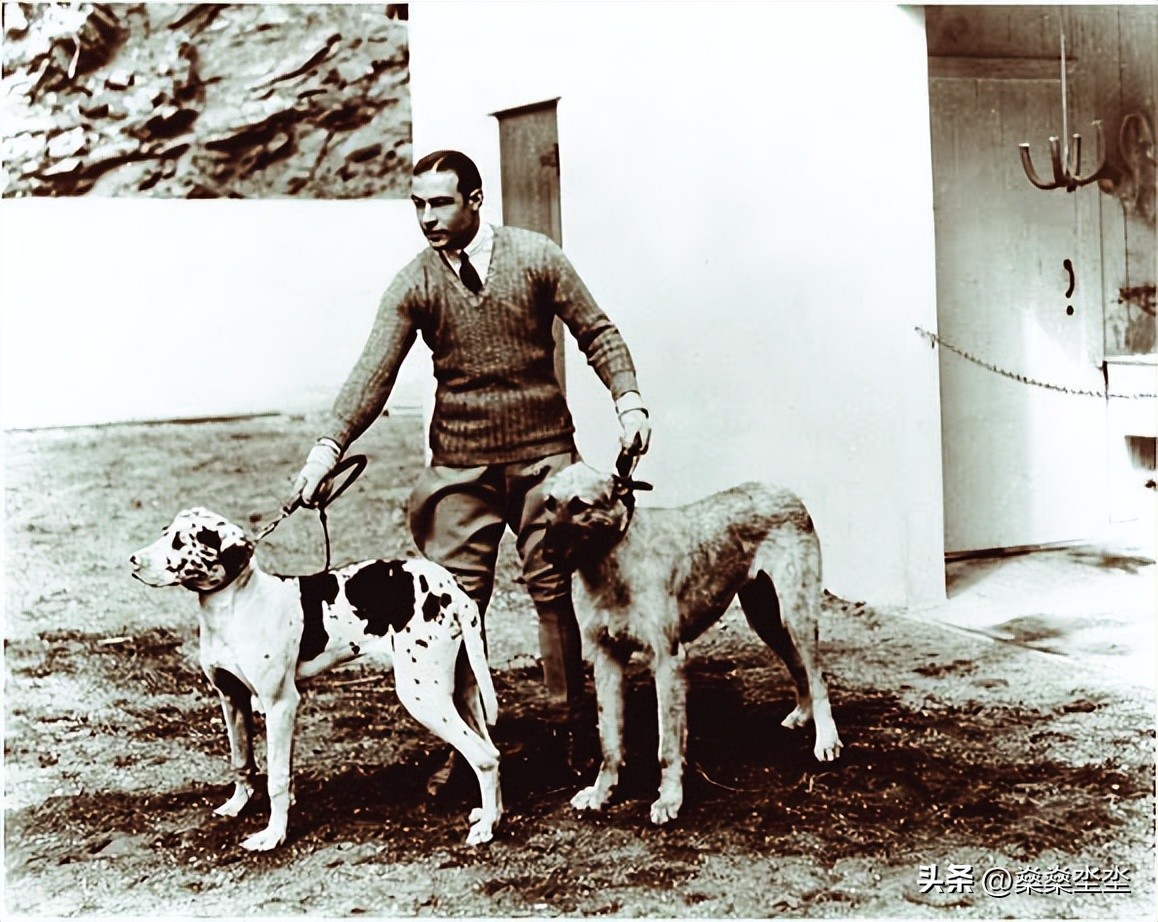 女人爱的不是我，我只是女人们用来描绘她们梦想的画布