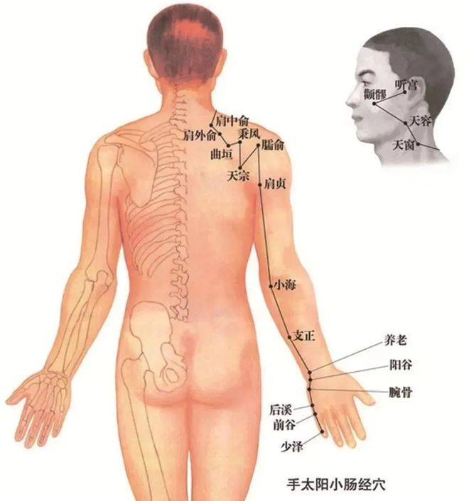 哺乳期肩膀疼痛要警惕的三种病,哺乳期肩膀疼怎么缓解最快最有效