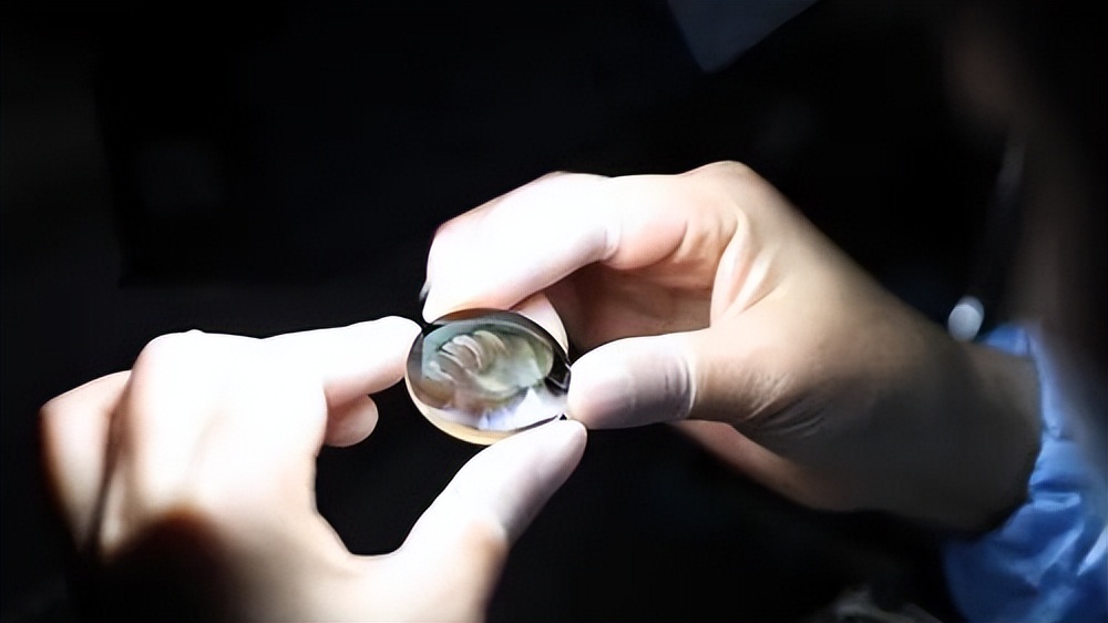 推进民营经济高质量发展|高科技企业三明福特科光电：越创新越闪亮