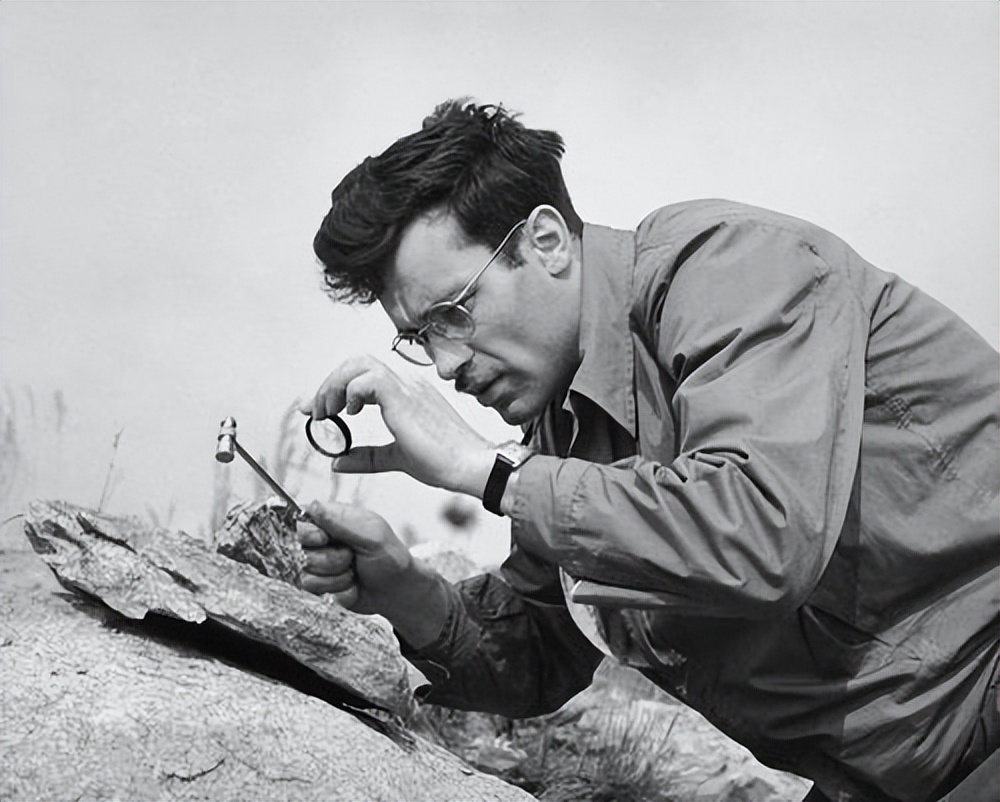 美国一男子被骗1000万美元,美国男子花上百万美元