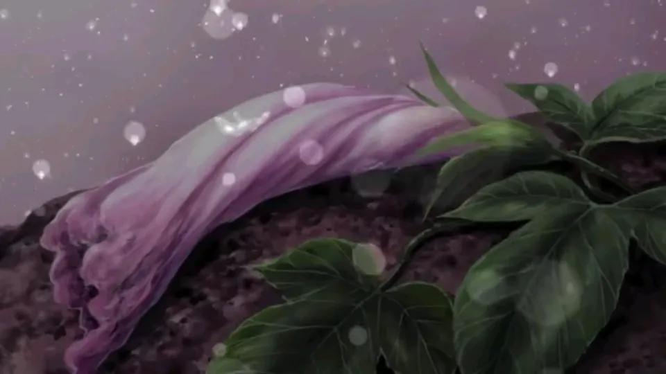 少女被寄生虫寄生成为虫族公主,女孩被寄生虫寄生六亲不认