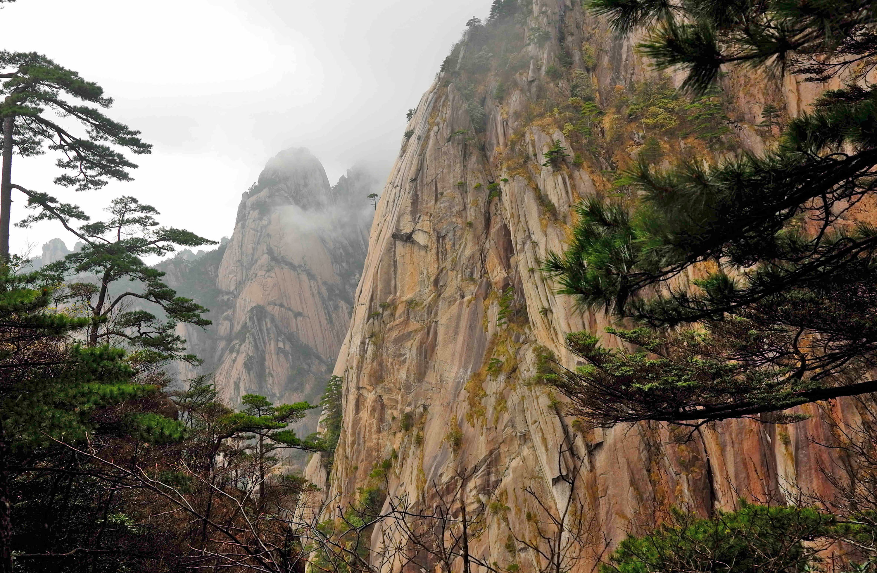 黄山慈光阁到玉屏楼步行多久,爬黄山从慈光阁开始的攻略