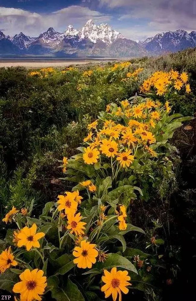 太美了100个世界级美景,全球100张绝世美景