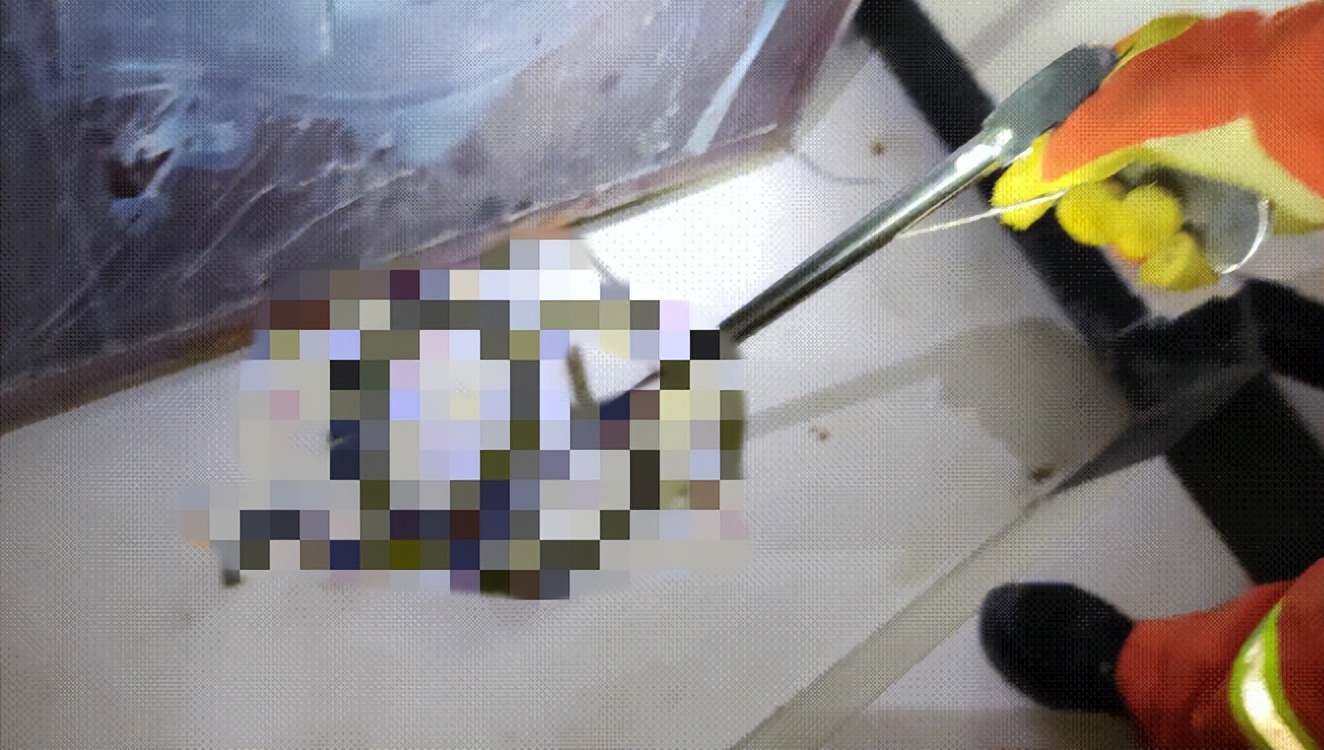 头皮发麻！山东女子从洗衣机洗出冻僵蛇，雄黄驱蛇是“摆设”吗？