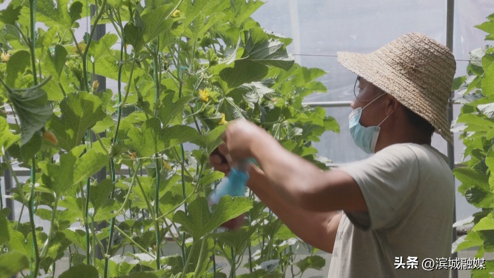 党建引领下推进乡村振兴发展,乡村振兴党建引领新做法人民日报