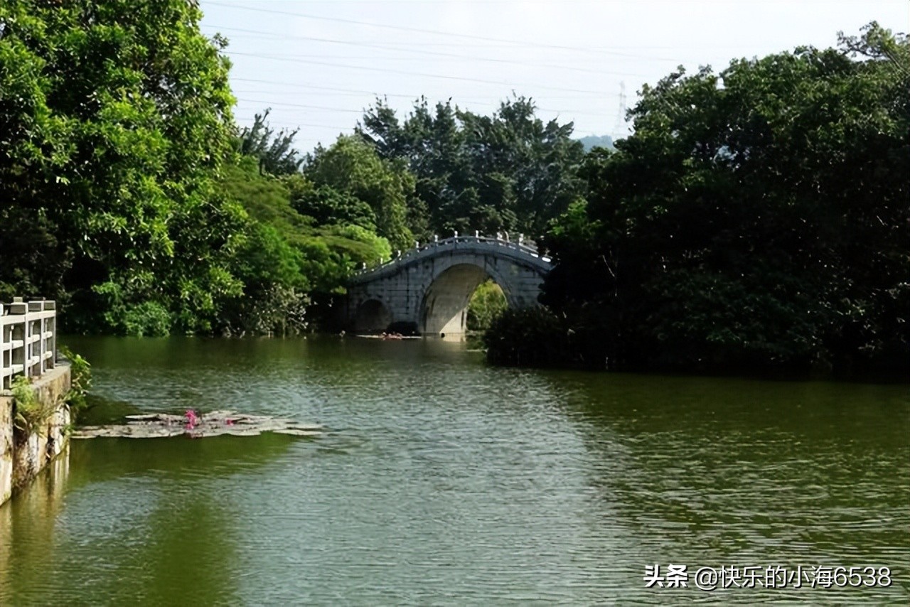 深圳一公园“走红”,历史悠久门票免费,距市区12.7公里