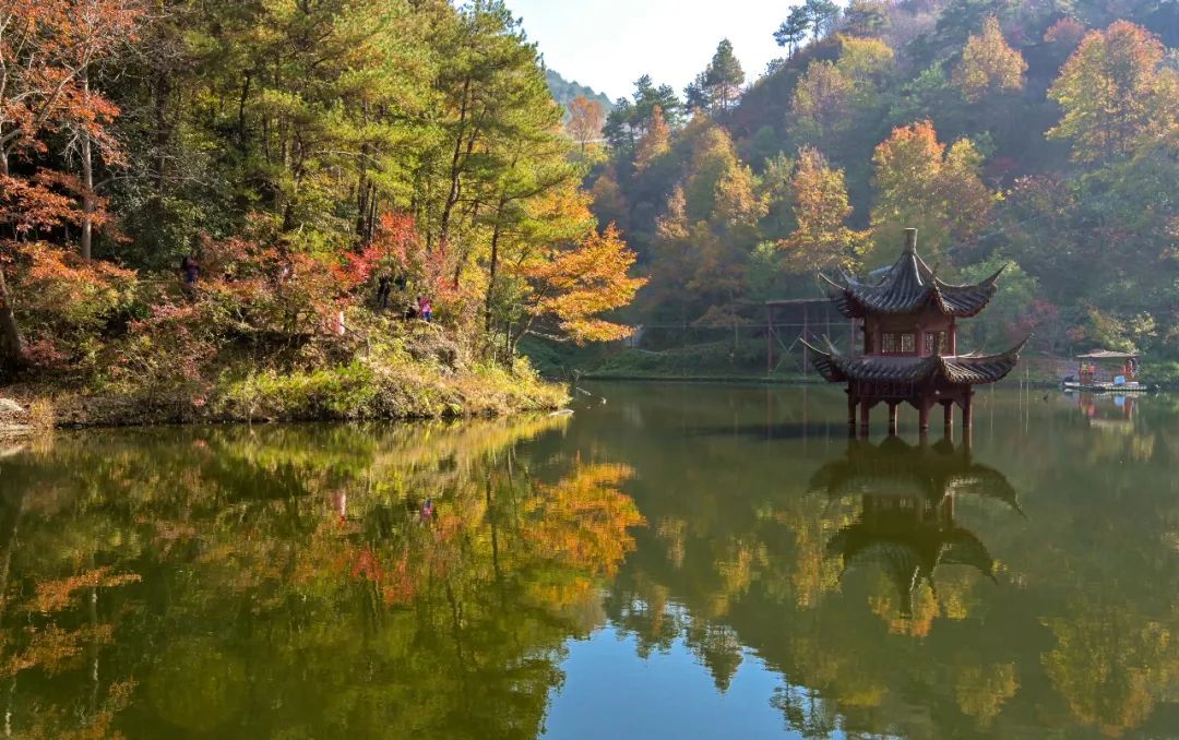 美出新高度再出新辉煌,美出新高度种草