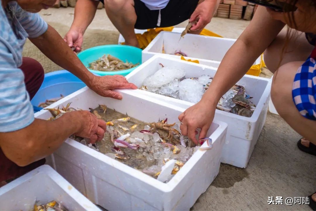 <html>
<head><title>502BadGateway</title></head>
<body>
<center><h1>502BadGateway</h1></center>
<hr><center>nginx</center>
</body>
</html>
<!--apaddingtodisableMSIEandChromefriendlyerrorpage-->
<!--apaddingtodisableMSIEandChromefriendlyerrorpage-->
<!--apaddingtodisableMSIEandChromefriendlyerrorpage-->
<!--apaddingtodisableMSIEandChromefriendlyerrorpage-->
<!--apaddingtodisableMSIEandChromefriendlyerrorpage-->
<!--apaddingtodisableMSIEandChromefriendlyerrorpage-->
