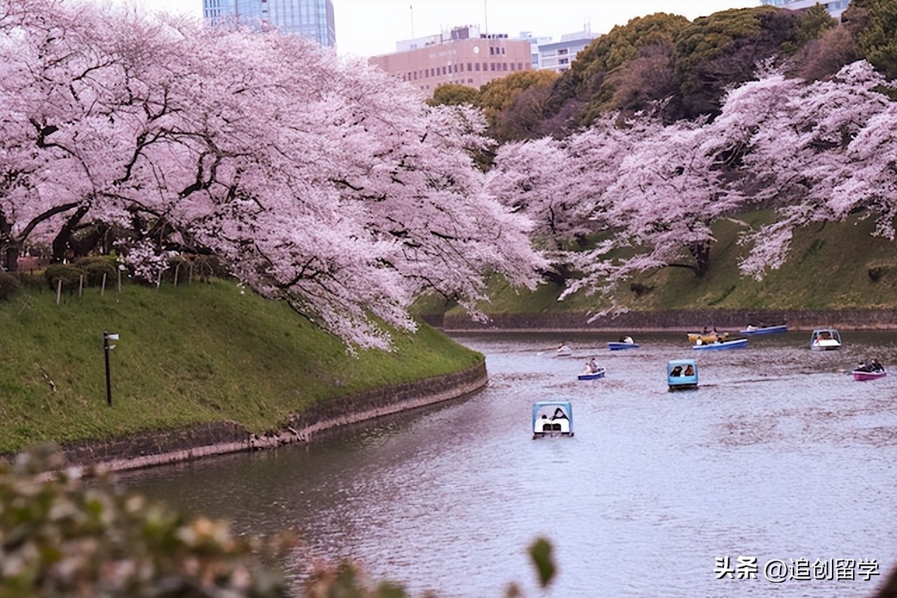 2023日本留学时间规划,日本日语专业留学考试
