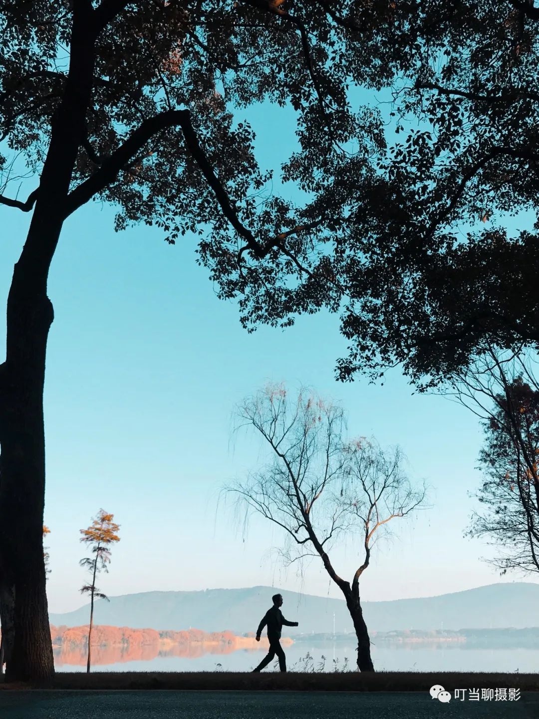 iphone7拍照较其他手机的优势,iphone7与其他手机对比图