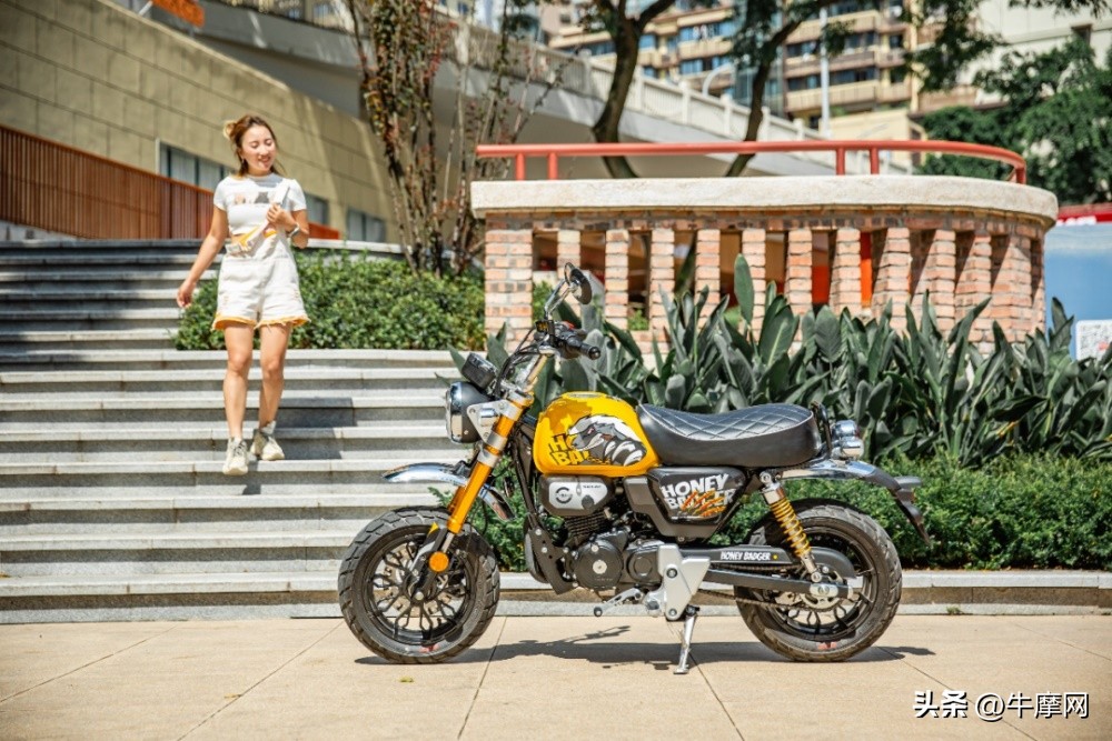 银钢150和蜜獾怎么选,平头哥蜜獾的战斗力有多强