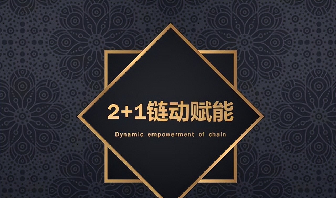 链动2+1模式平台搭建,2+1链动模式