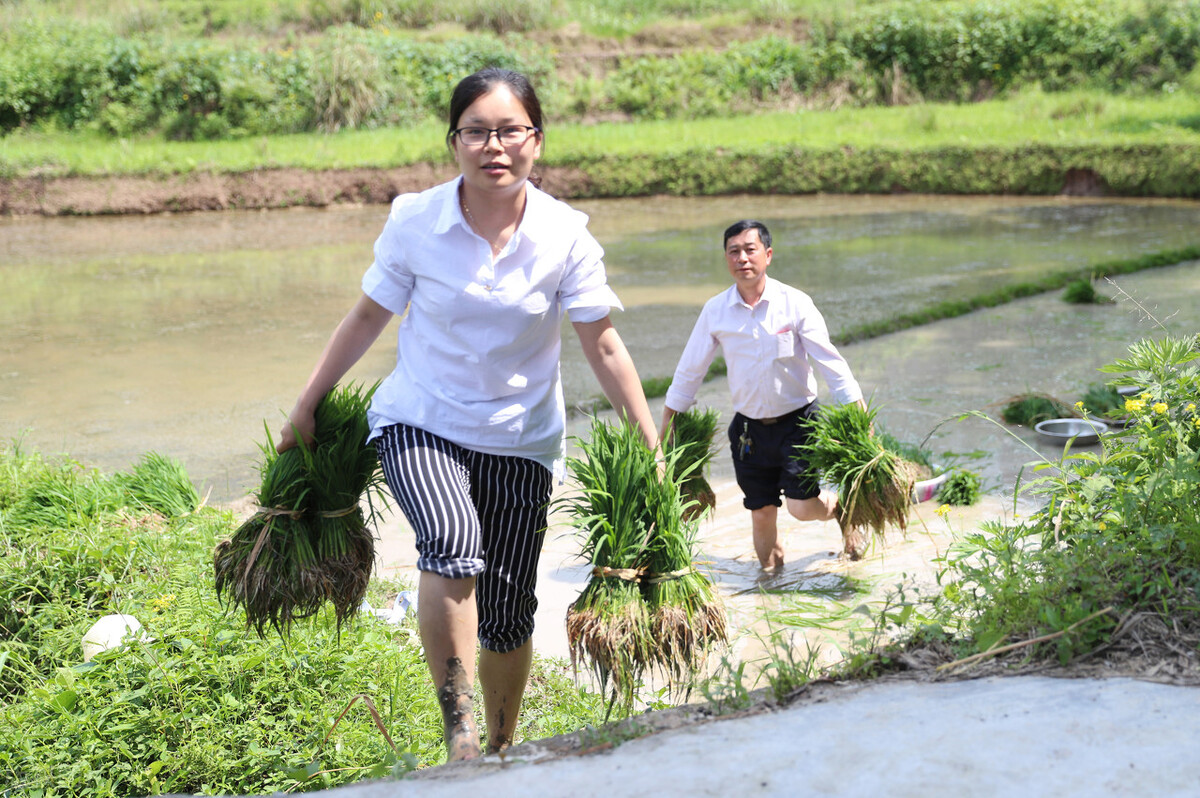 大学生就业是选择农村还是城市,为什么现在大学毕业都到农村发展