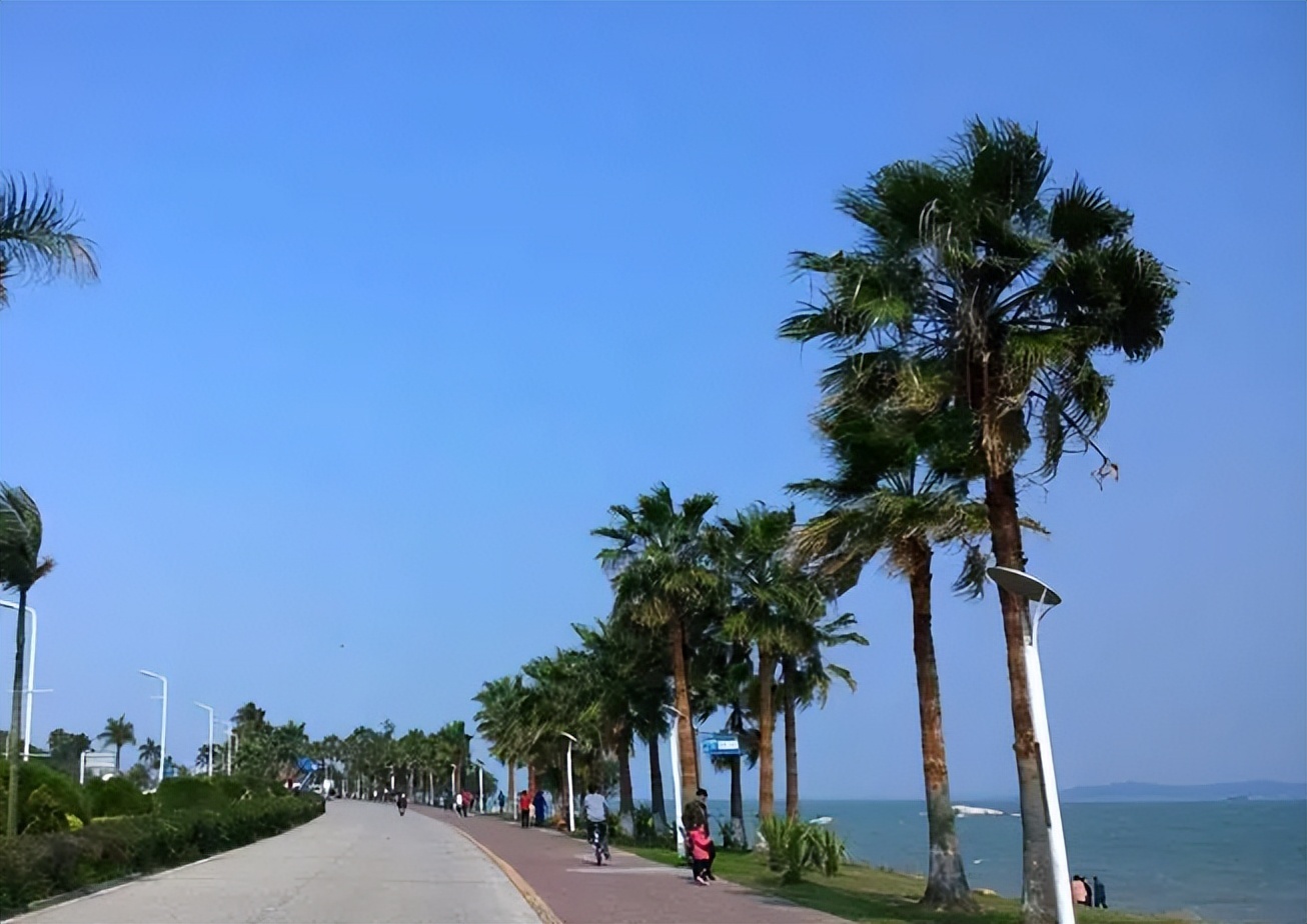 厦门旅游攻略网红打卡,厦门旅游打卡攻略自由行