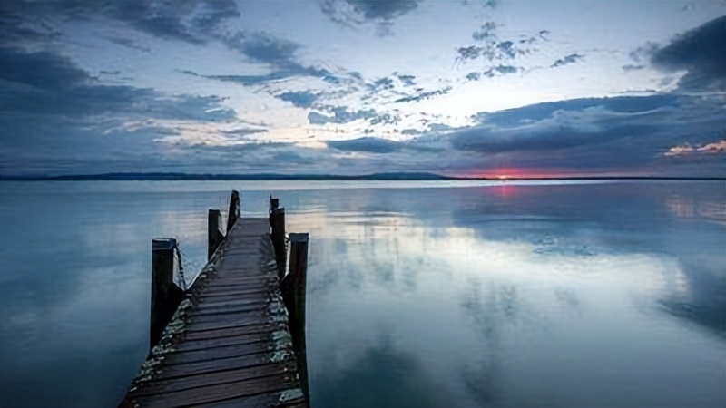 女博士回应中国股市背后的庄家,北大女博士谈中国股市背后的庄家