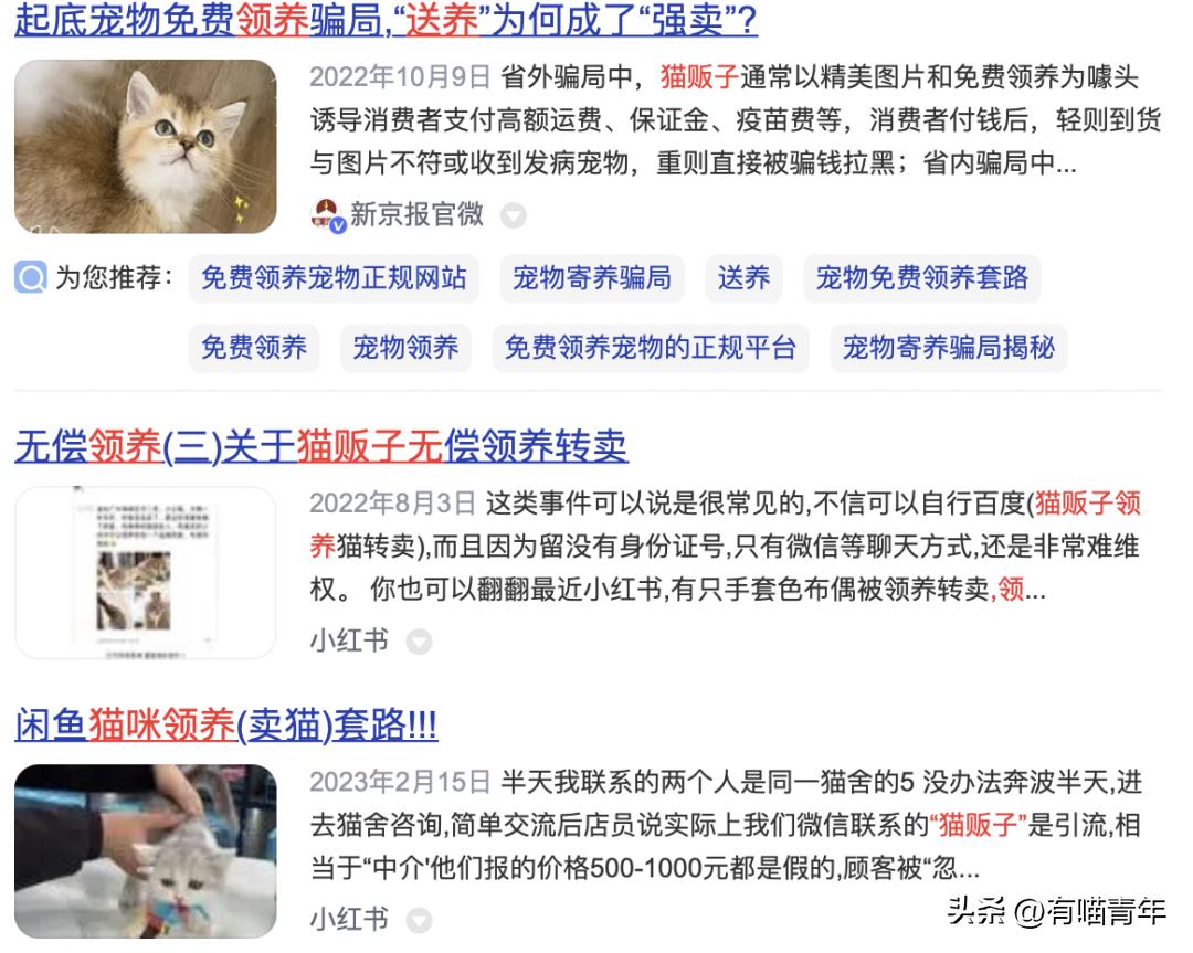 免费领养一只品种猫，猫死后强行要我买猫粮，赔3000