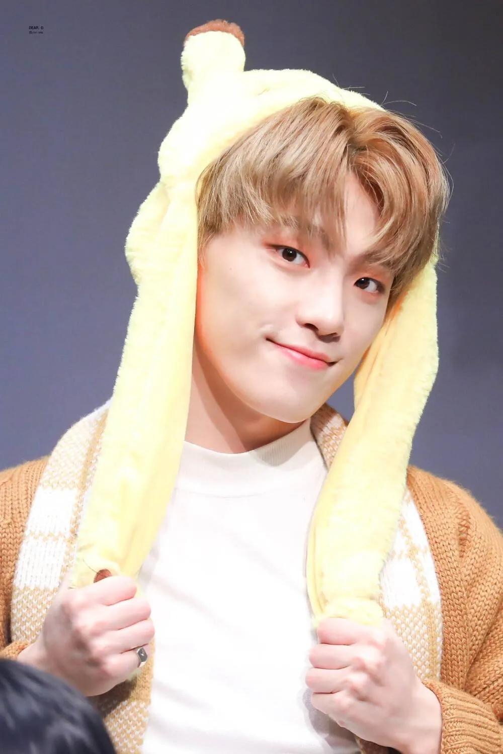 seventeen回归询问帖,seventeen大发语录