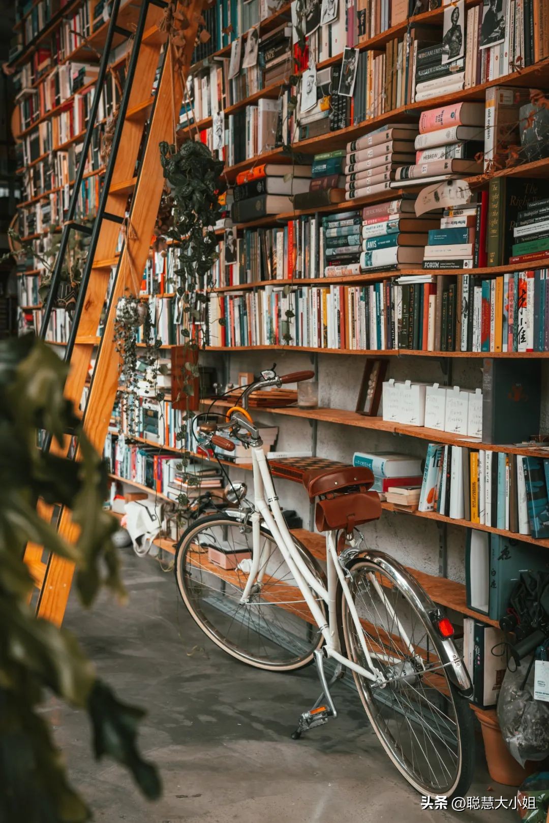 珠海百岛之城排名,广东珠海千岛之城