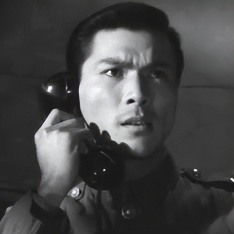 关于革命的小说红日简介,长篇小说红日沈振新的原型是谁