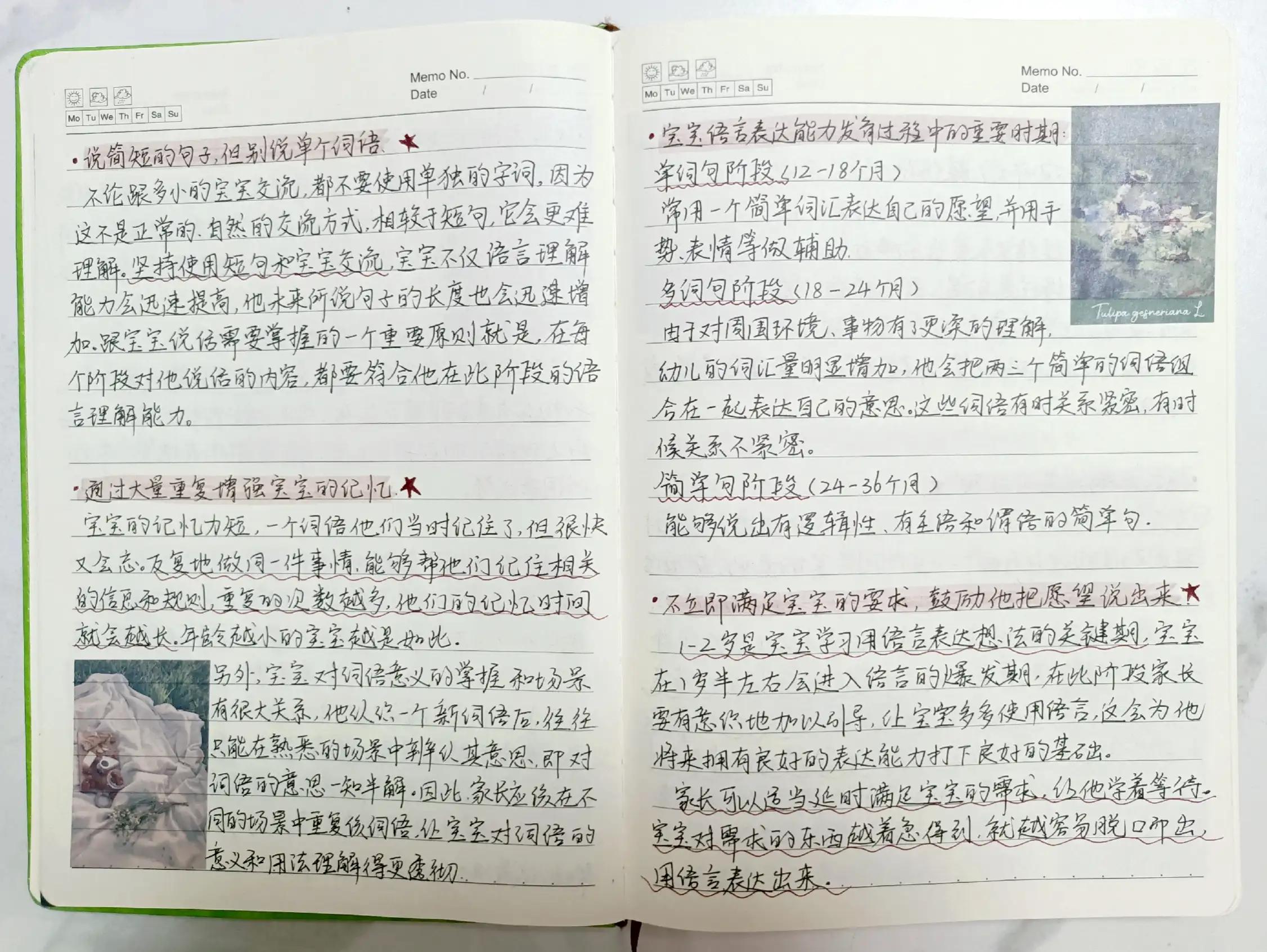 儿童读书笔记入门,孩子读书笔记如何写