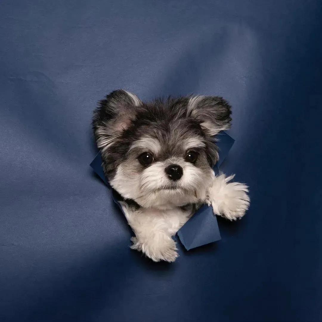 网易云文案馆伤感文案学生,文案馆伤感文案网易云短句