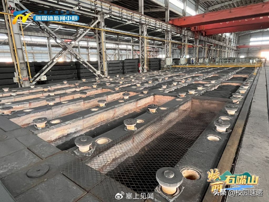 举全镇之力全力加强人才队伍建设,赋能企业高质量技能人才队伍建设