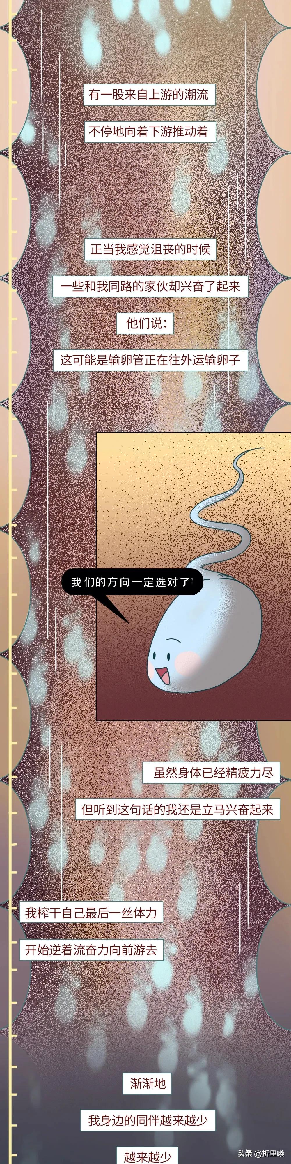 精子进入女生体内的24小时全过程曝光！