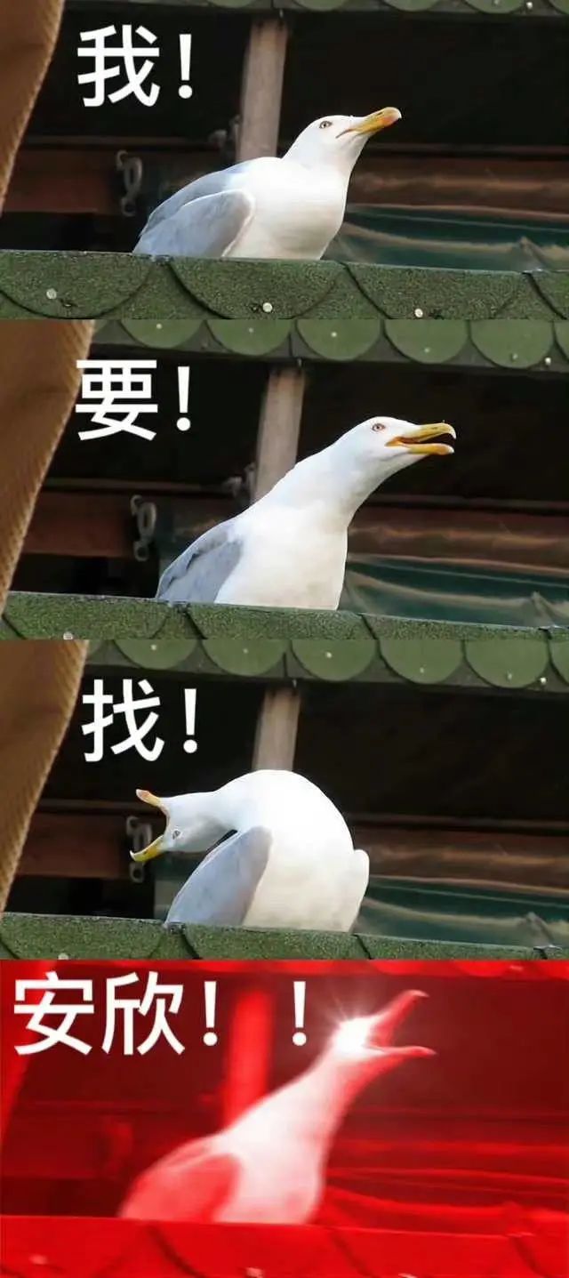 开年热剧狂飙,开年大戏狂飙续集