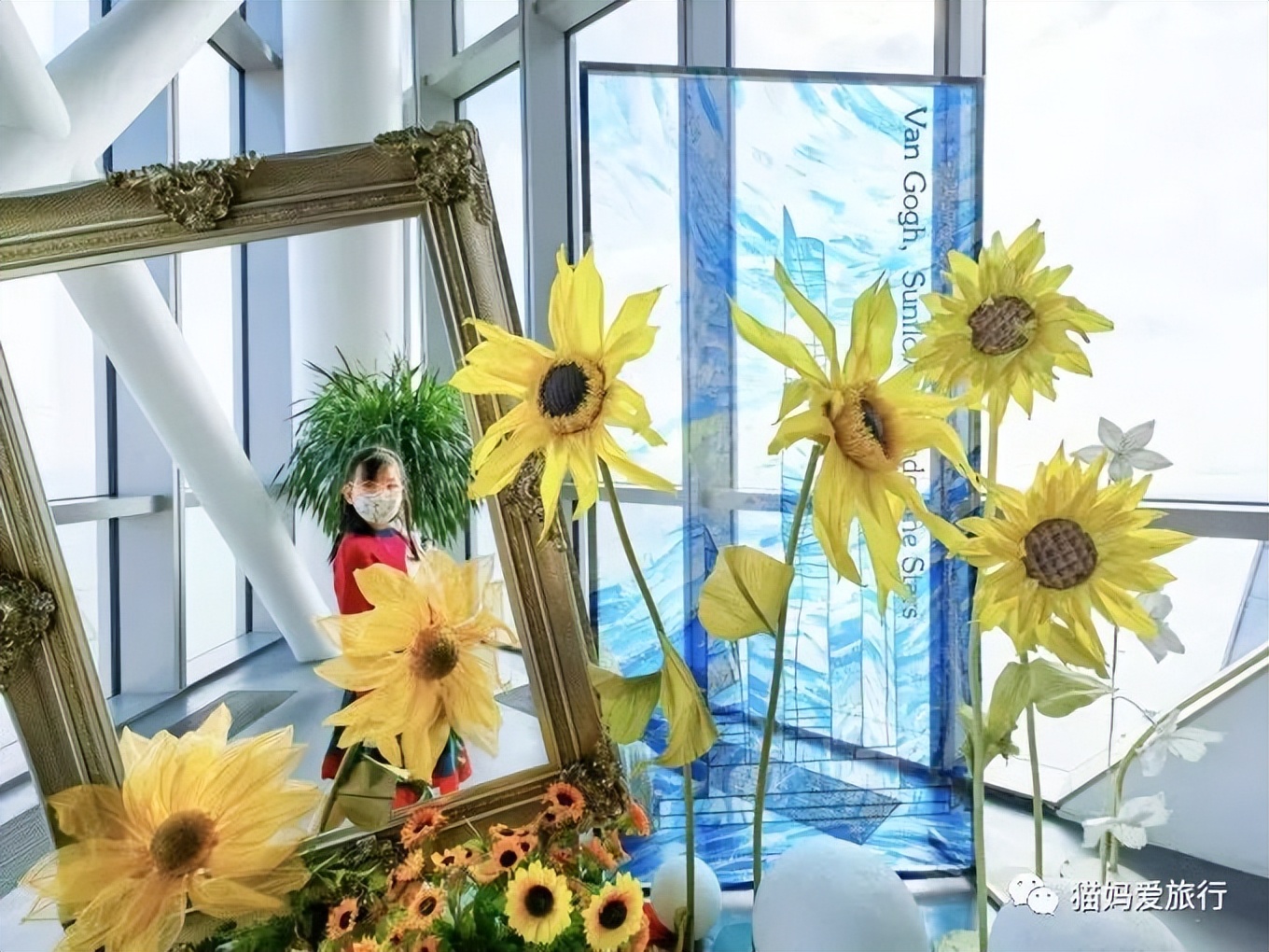 5天“趣”玩青岛，我的私藏遛娃路线