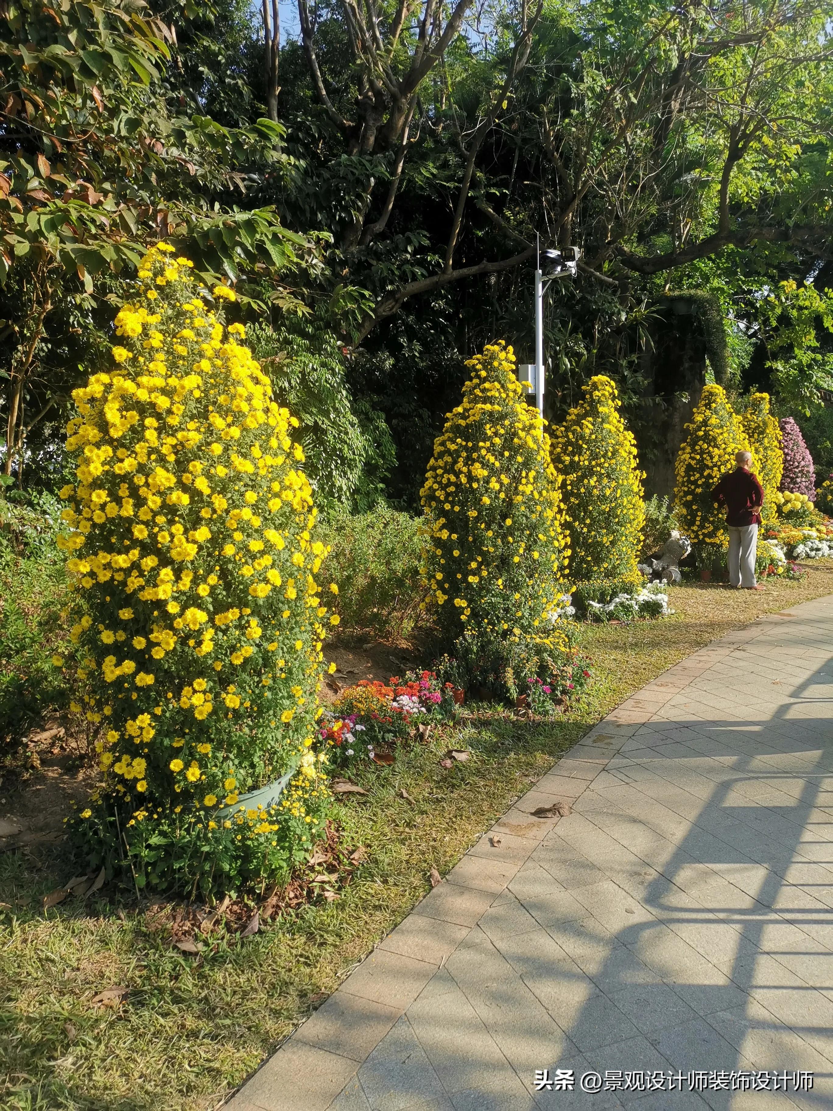 深圳市东湖公园广场舞,深圳市东湖公园收费标准