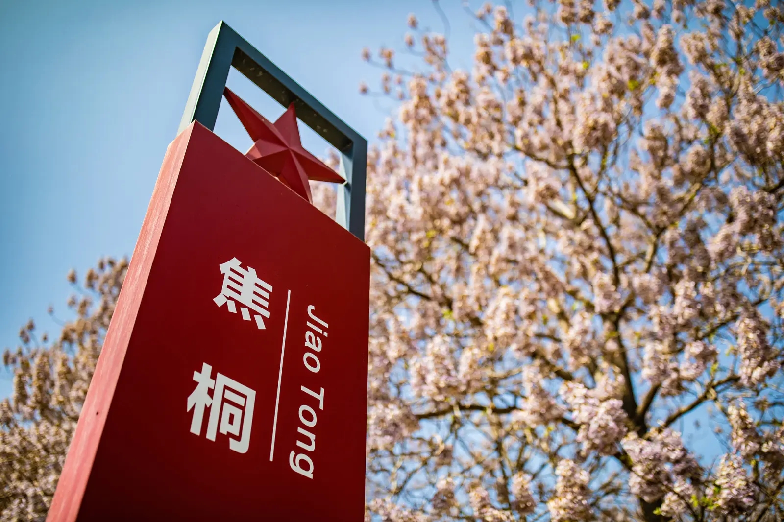 焦裕禄兰考最终怎么样了,焦裕禄逝世事迹