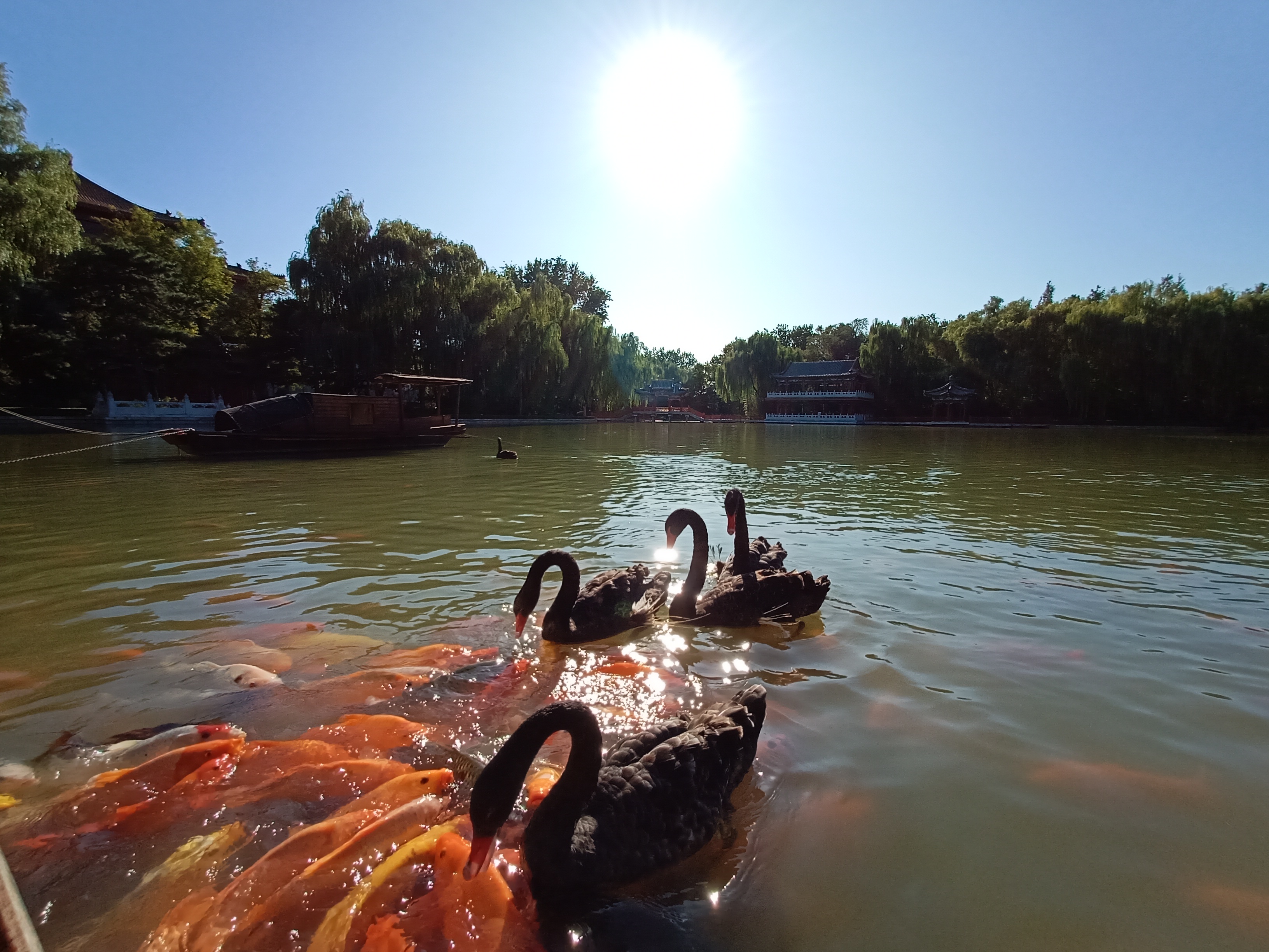 人在画中游图片,人在画中游视频大全