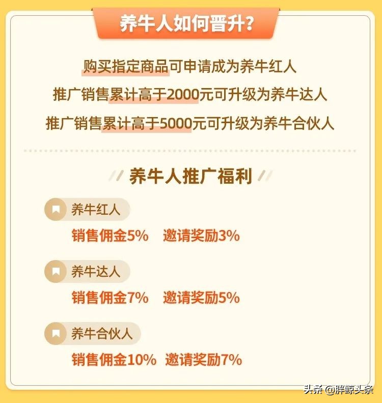 认养一头牛如何干翻蒙牛伊利,认养一头牛试喝奶粉