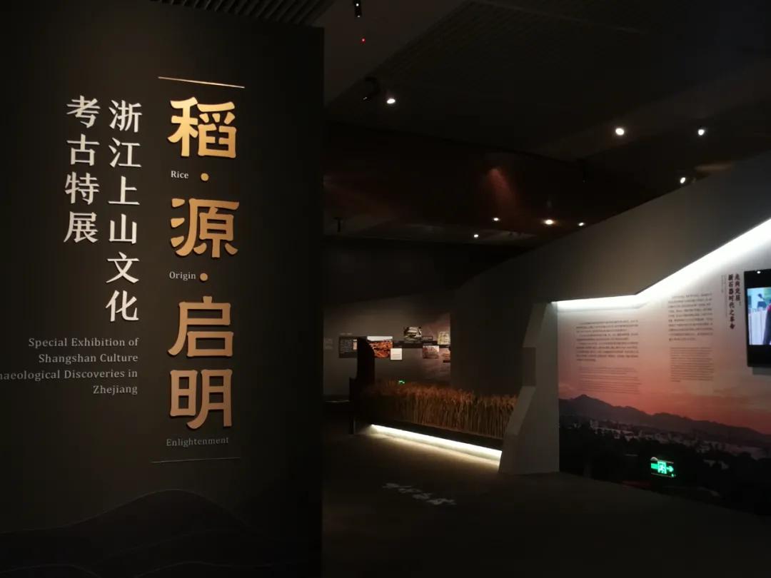 中华文明连绵不绝，有个奥秘应知“稻”