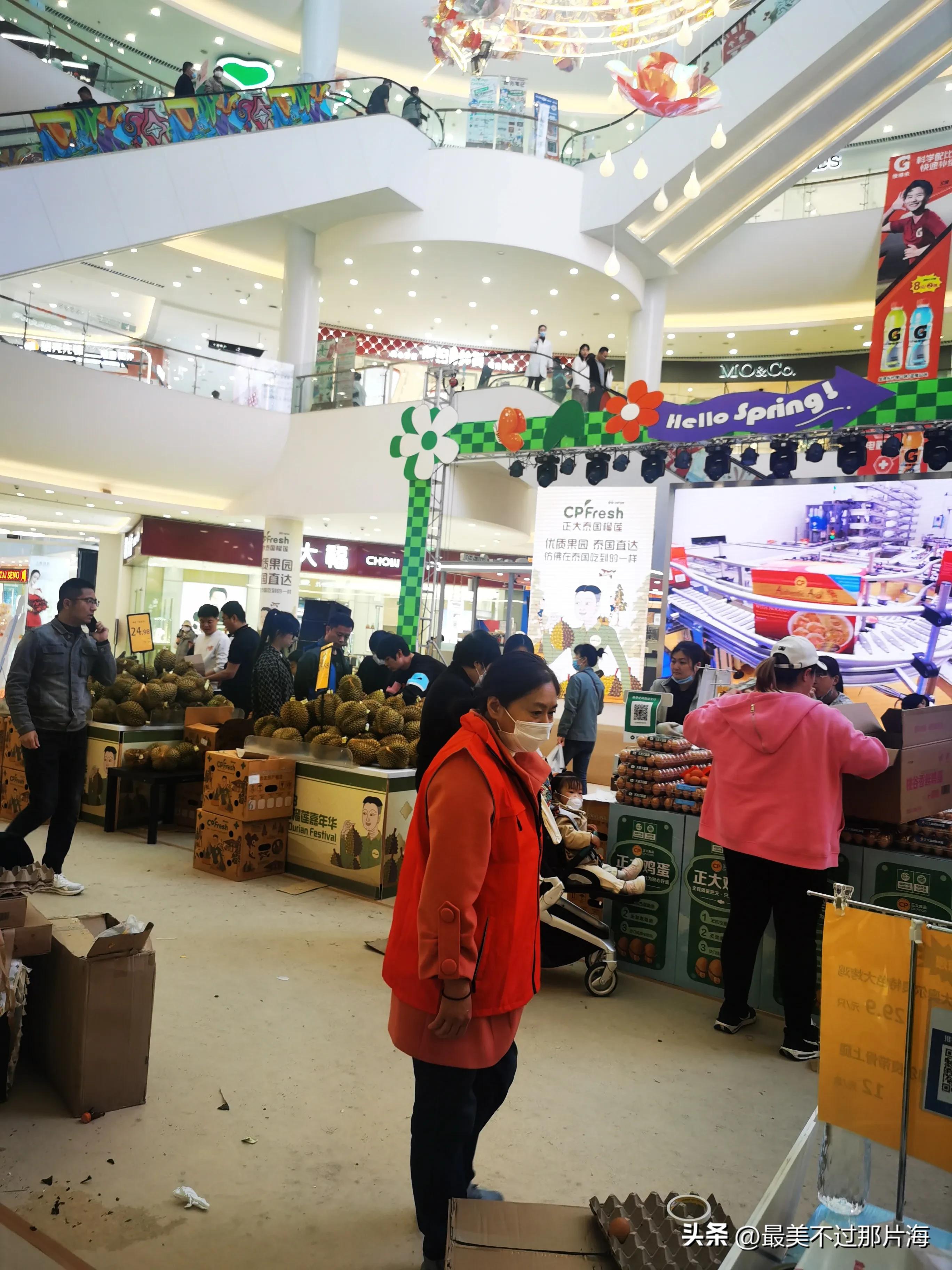 九龙城荣成榴莲,泰国金枕榴莲九龙城