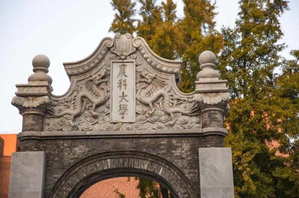 大学选地址，想去北京就读的同学，带你了解北京高校的“金字塔”