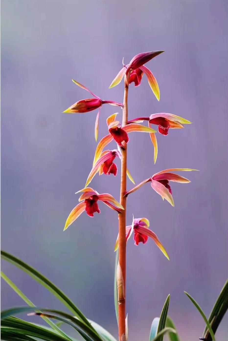 衣食住行是最基本的情感吗,衣食住行是人类生活的四大元素