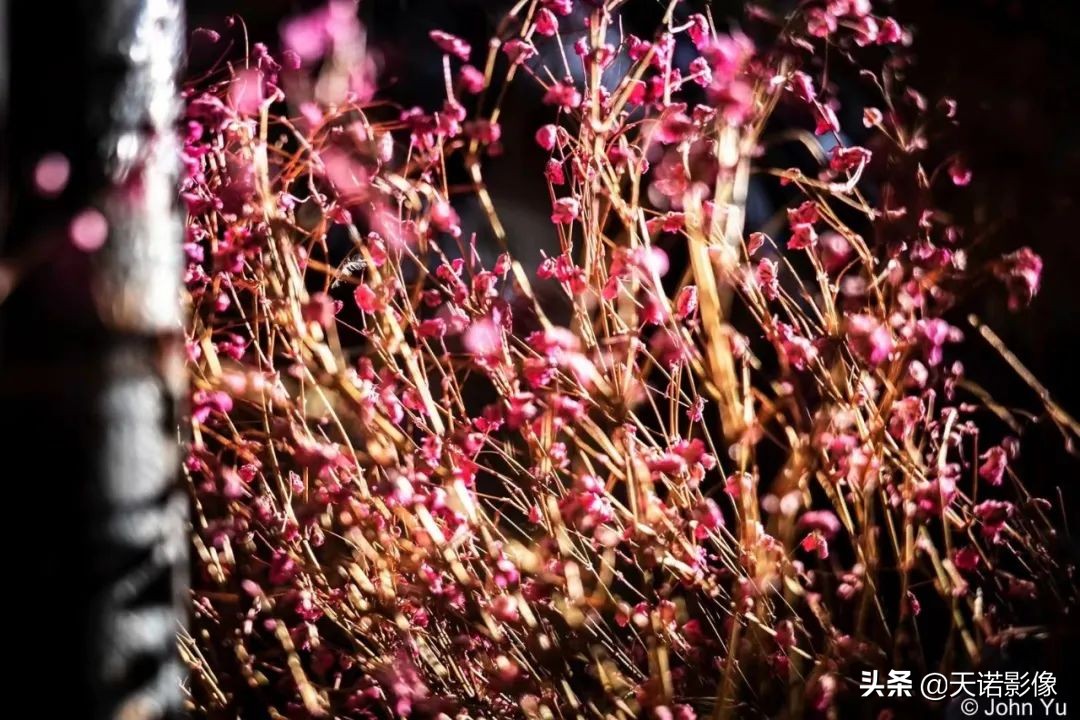 理光GRIIIX相机，可装进口袋的高画质扫街神器