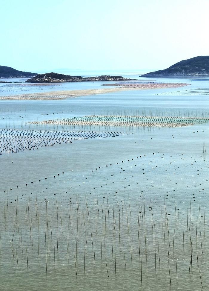 霞浦畲族农家乐,霞浦盐田农家乐