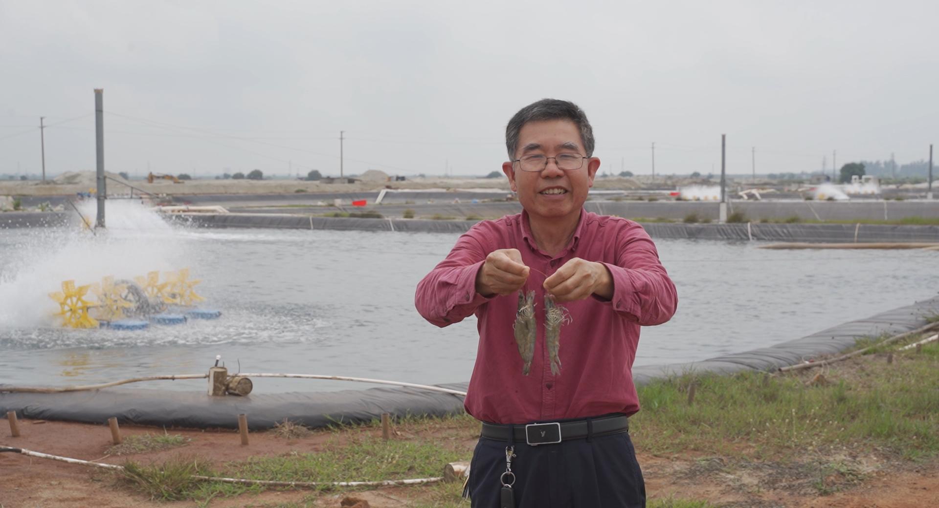 一条虾,一条虾海鲜