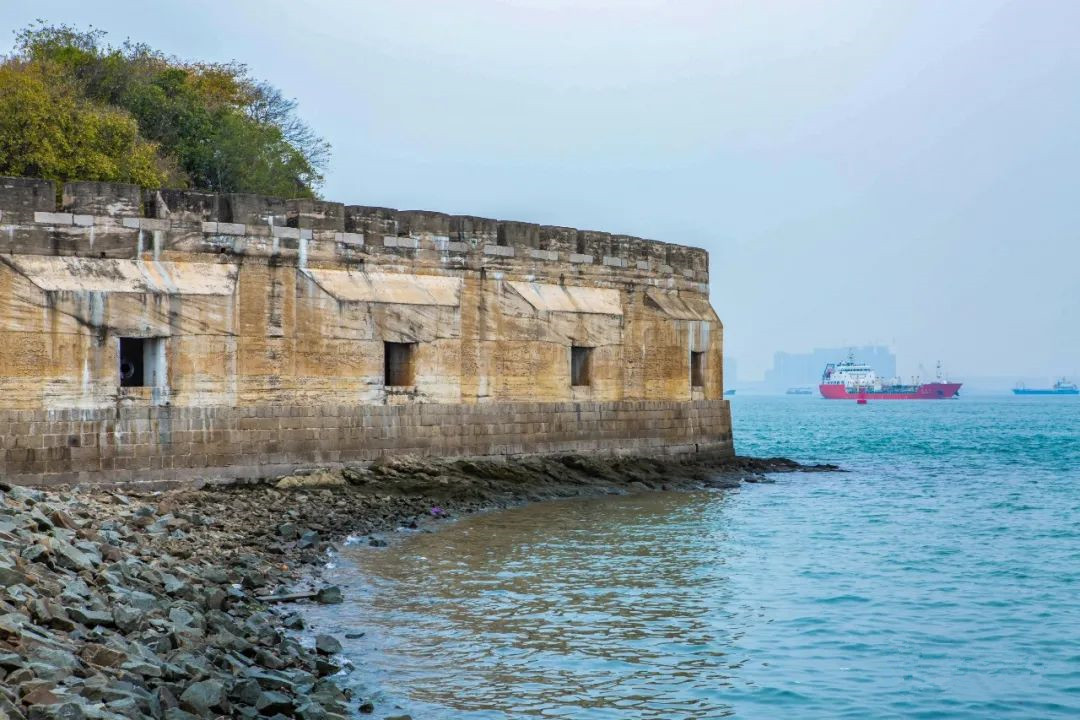 广州人眼中的“虾王”，80元一斤，不管海虾河虾，都鲜不过此虾