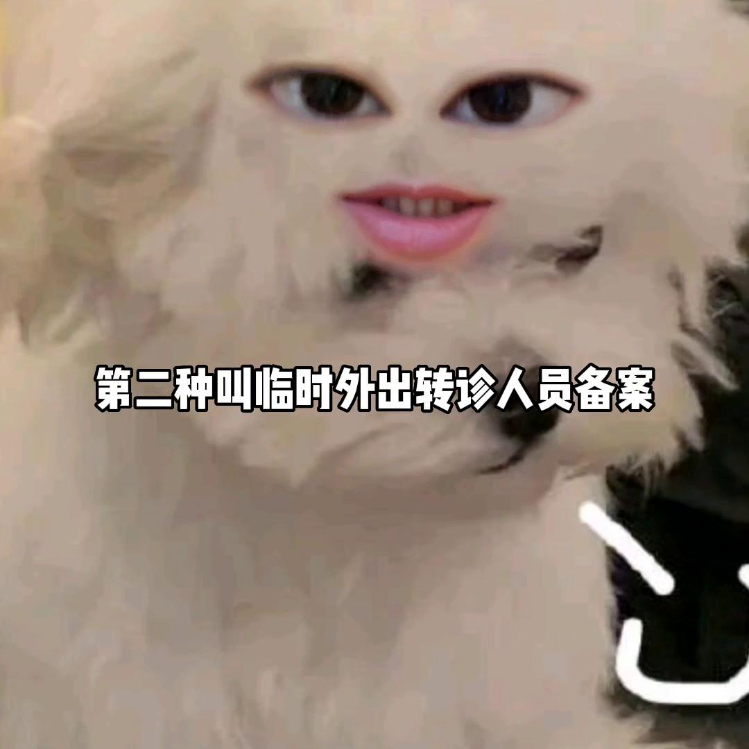 医保异地就医备案后怎样转回本地,异地就医备案是就医前还是就医后